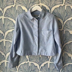 Everlane Cropped Oxford Blue